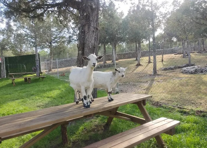 Granja Callejuelas דירה Casla