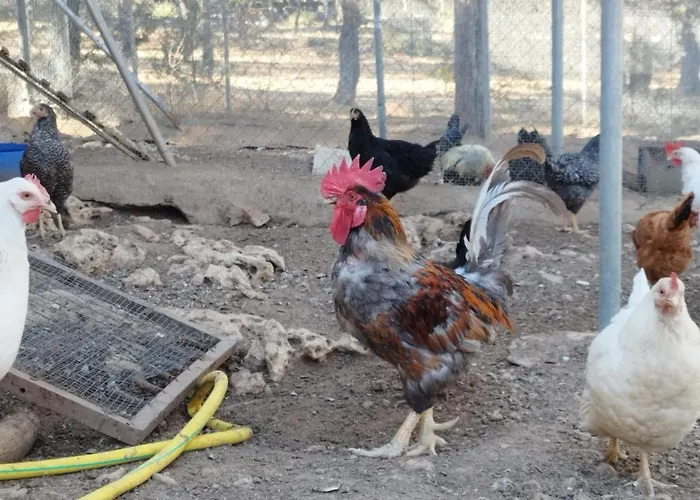 Apartman Granja Callejuelas Casla