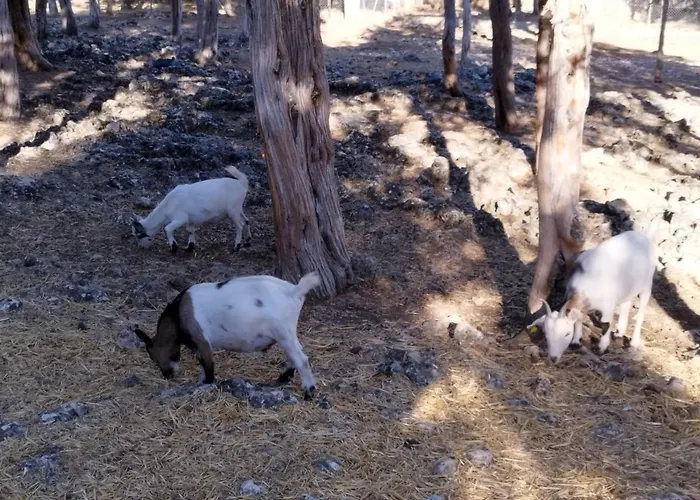 דירה Granja Callejuelas