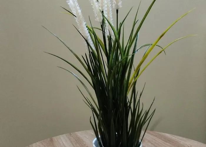 Granja Callejuelas Casla